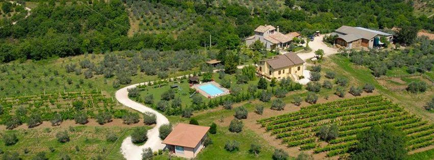 Willa Fattoria Del Quondam Giano dellʼUmbria Zewnętrze zdjęcie